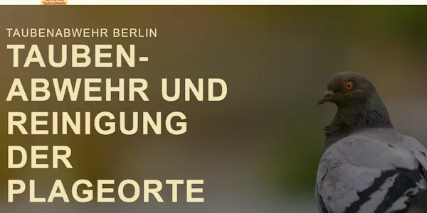 Taubenabwehr Berlin 24 Webdesign mit SEO