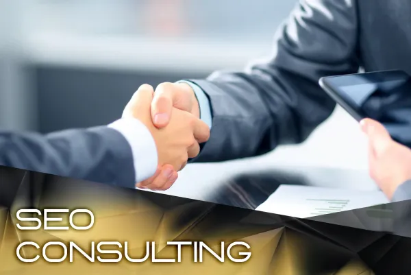 SEO Consulting